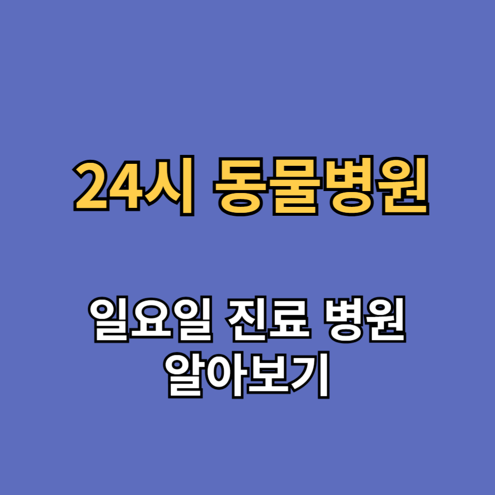 24시 동물병원과 일요일 진료 동물병원