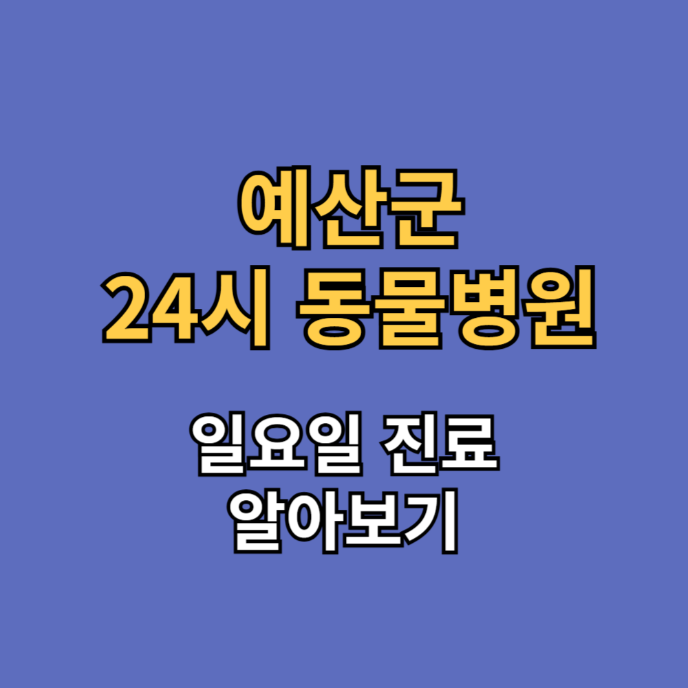 태안군 24시 동물병원·일요일 진료 병원 찾는 방법