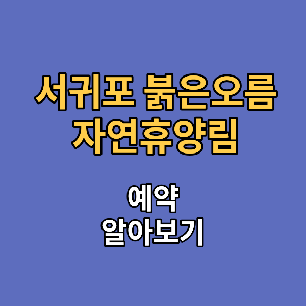 서귀포 붉은오름 자연휴양림