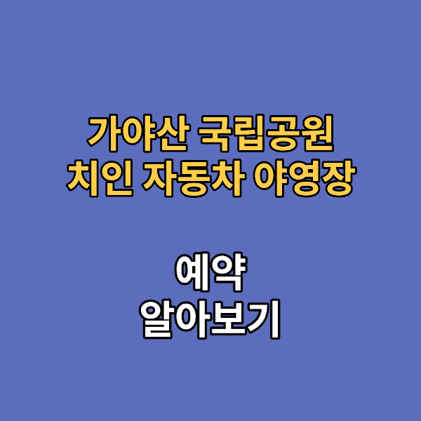 가야산 치인 자동차 야영장