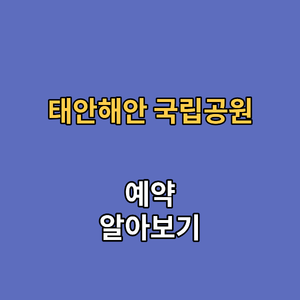 태안해안 국립공원 몽산포 자동차 야영장