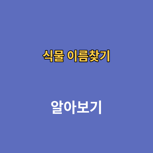 네이버 식물 이름찾기 앱 무료