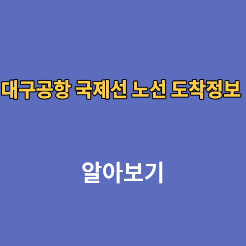 대구공항 국제선 노선 도착정보 시간