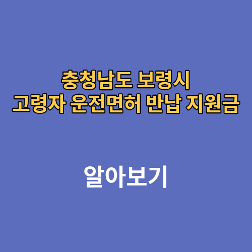 충청남도 보령시 고령자 운전면허 반납 지원금 나이 신청방법