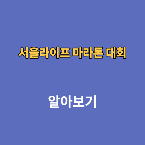 2026 서울라이프 마라톤 대회 접수 신청 코스