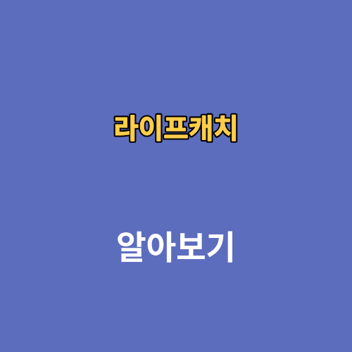 라이프캐치 수수료 환급 후기 어플
