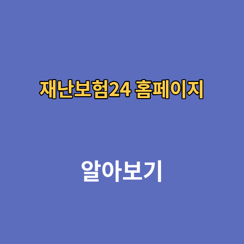 재난보험24 홈페이지 https://www.ins24.go.kr/