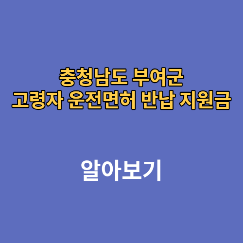 충청남도 부여군 고령자 운전면허 반납 지원금 나이 신청방법
