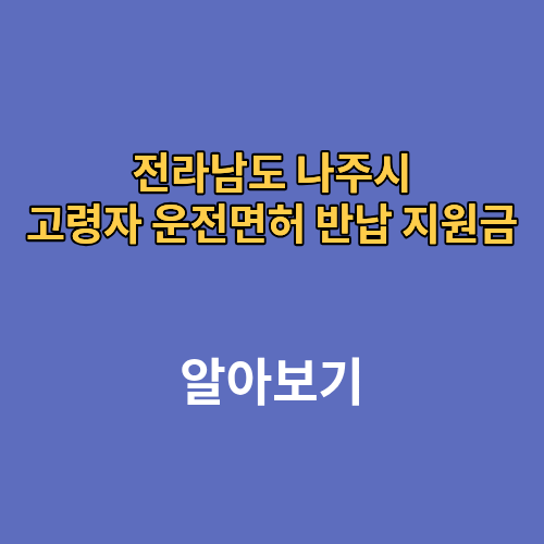 전라남도 나주시 고령자 운전면허 반납 지원금 나이 신청방법