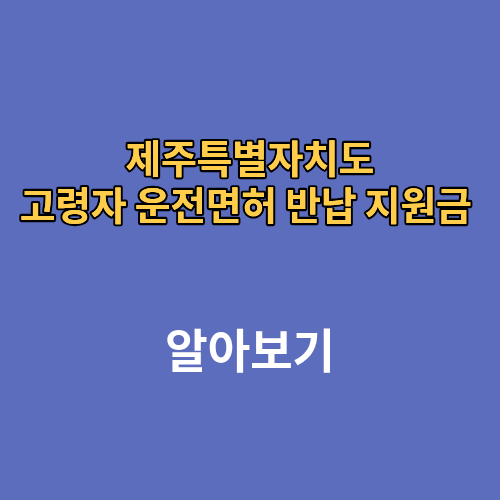 제주특별자치도 고령자 운전면허 반납 지원금 나이 신청방법