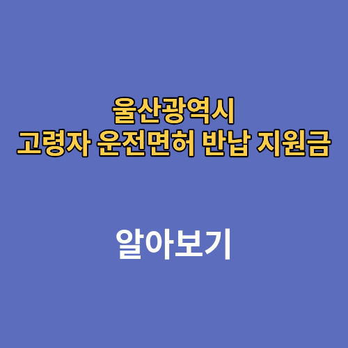 울산광역시 고령자 운전면허 반납 지원금 나이 신청방법