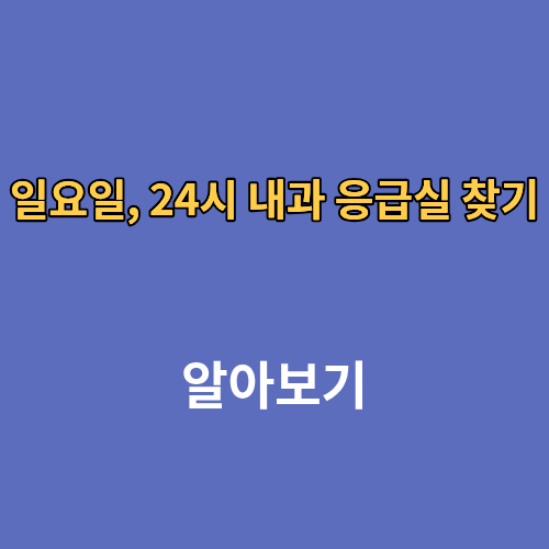 일요일, 24시 내과 응급실 찾기