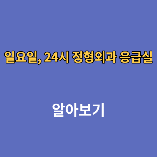 일요일, 24시 정형외과 응급실 찾기