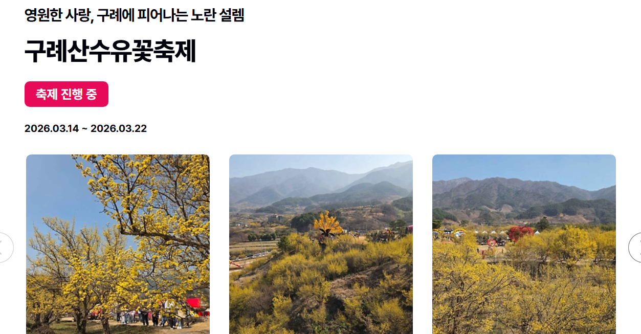 2026 구례산수유축제 일정 주차 숙소