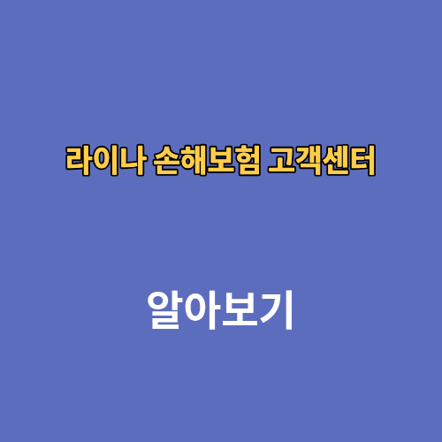 라이나 손해보험 고객센터 전화번호 영업시간