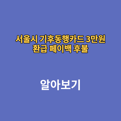 서울시 기후동행카드 3만원 환급 페이백 후불