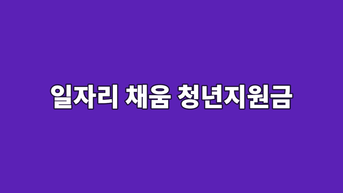 일자리 채움 청년지원금