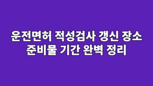 운전면허 적성검사 갱신 장소 준비물 기간 완벽 정리