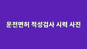 운전면허 적성검사 시력 사진