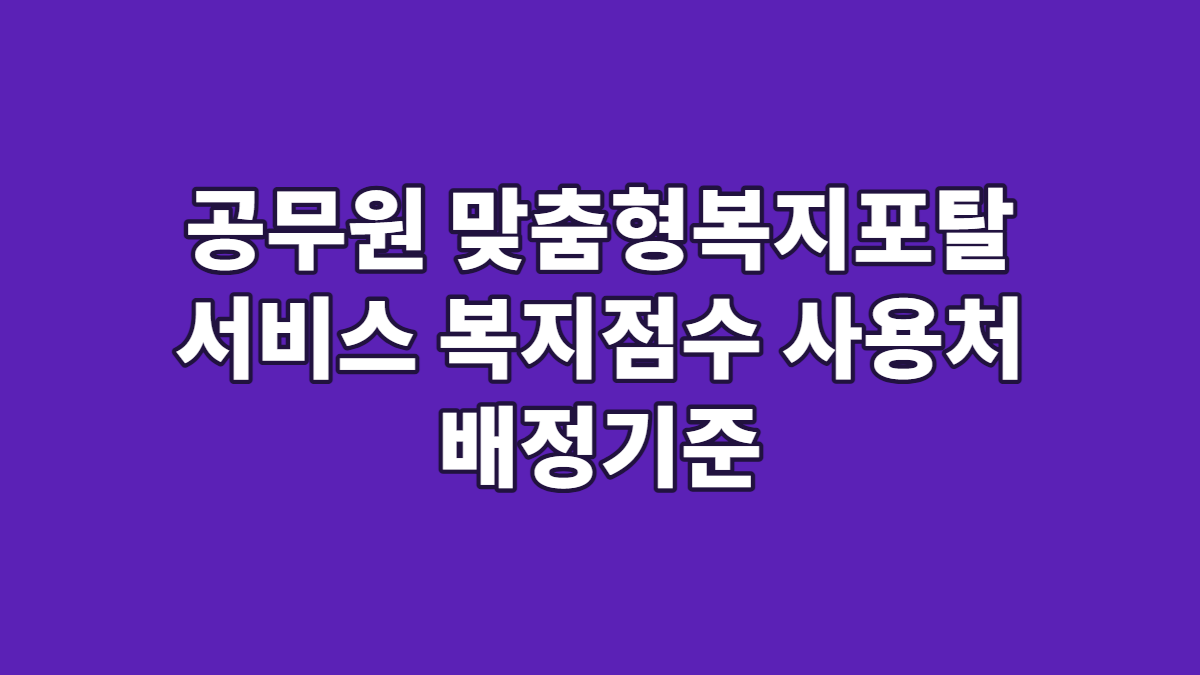 공무원 맞춤형복지포탈 서비스 복지점수 사용처 배정기준