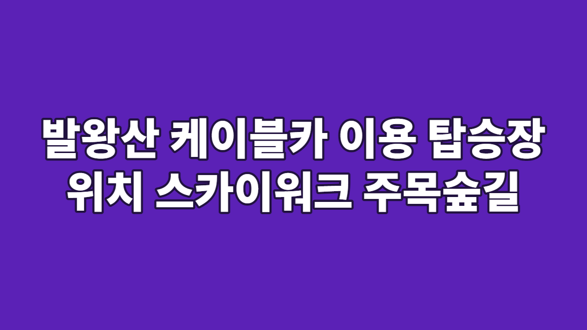 발왕산 케이블카 이용 탑승장 위치 스카이워크 주목숲길