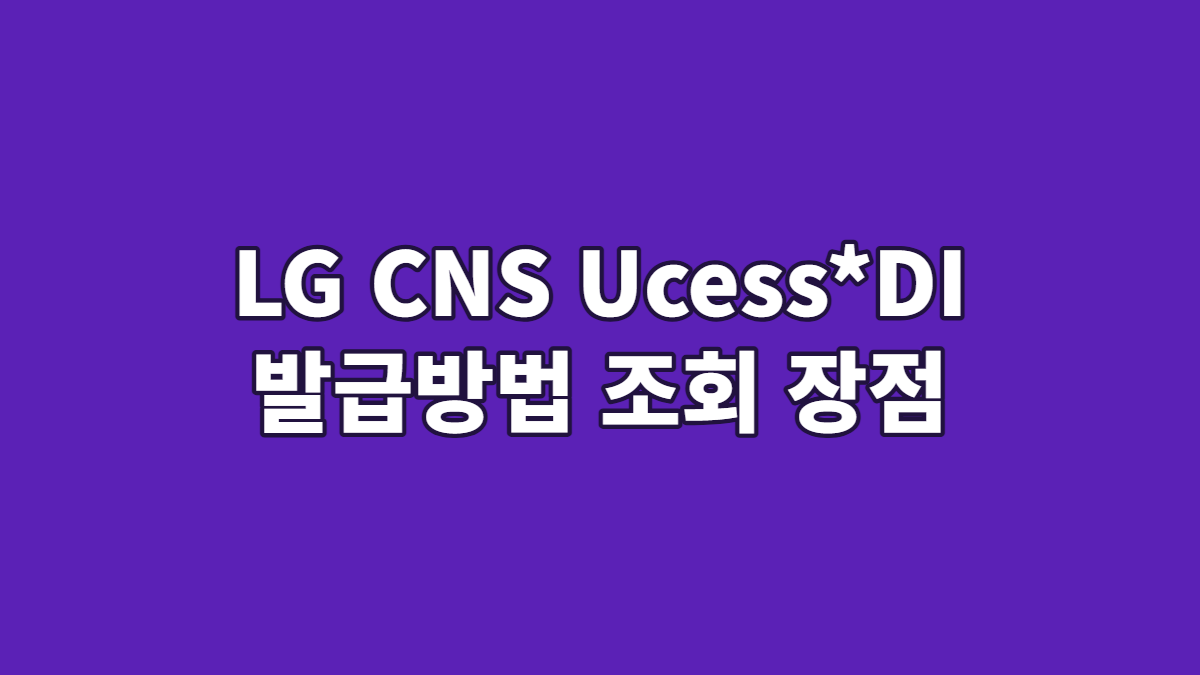 LG CNS Ucess*DI 발급방법 조회 장점
