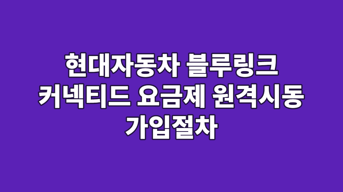 현대자동차 블루링크 커넥티드 요금제 원격시동 가입절차