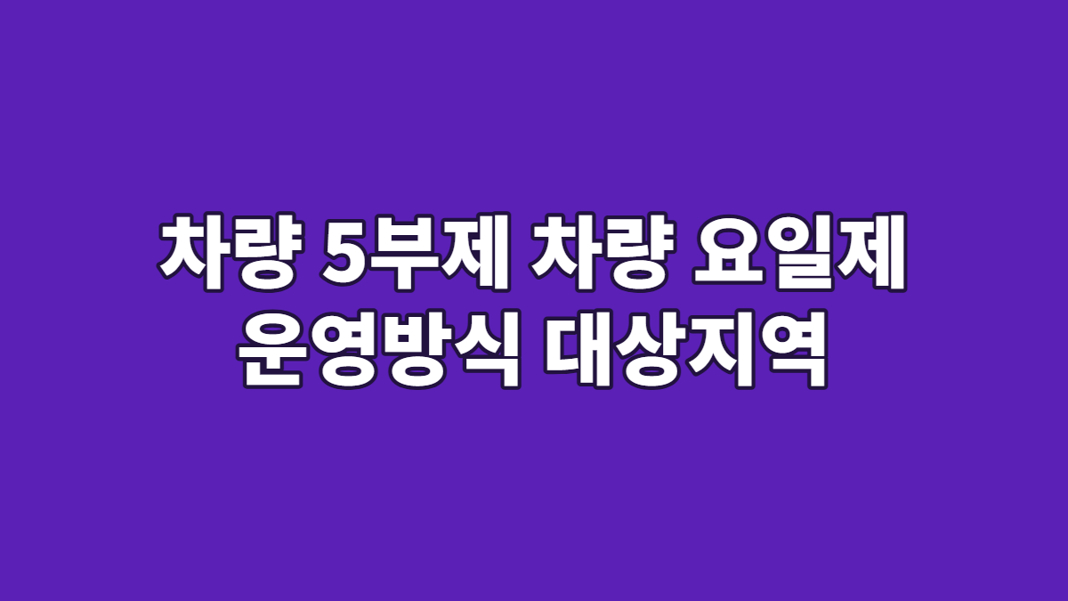 차량 5부제 차량 요일제 운영방식 대상지역