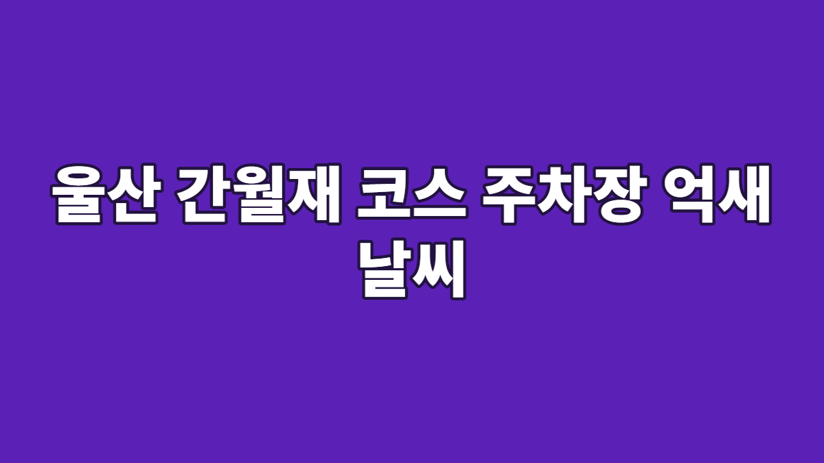 울산 간월재 코스 주차장 억새 날씨