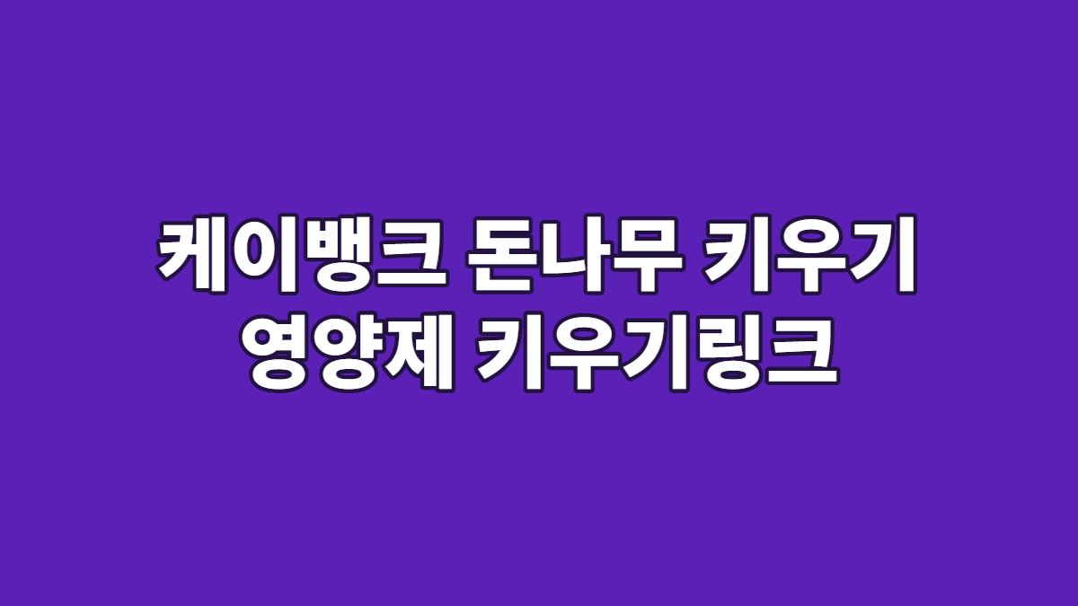 케이뱅크 돈나무 키우기 영양제 키우기링크